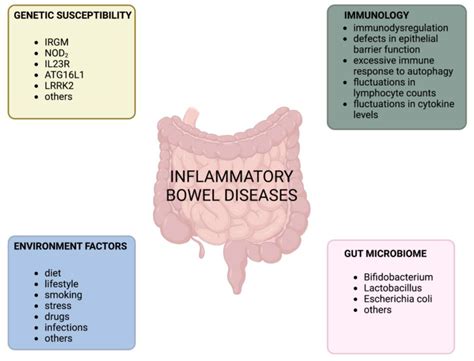 The Role of IL-23 in the Pathogenesis and Therapy of Inflammatory Bowel