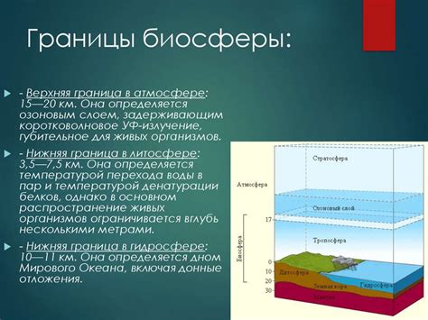 Биосфера Земли - online presentation