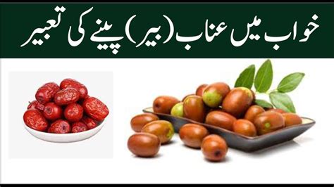 Interpretation Of Jujube In Dream Khwab Mein Bair Dekhna