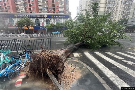 台风杜苏芮致福建72万余人受灾 直接经济损失5227万元 台风 福建省 新浪新闻