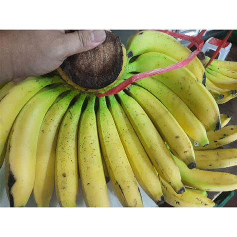Jual Pisang Ambon Sukabumi 1 Sisir Shopee Indonesia