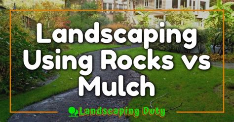 Landscaping Using Rocks Vs Mulch Your Guide To The Best Choice For