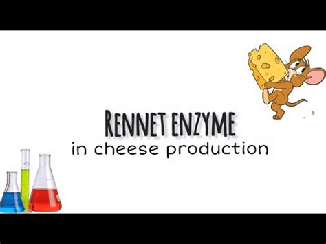 Rennet Enzyme In Cheese Production Overview Youtube