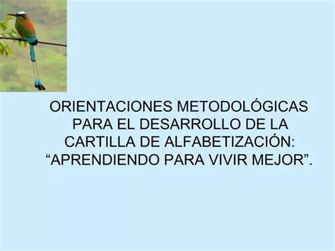 PPT ORIENTACIONES METODOL GICAS PARA EL DESARROLLO DE LA CARTILLA DE