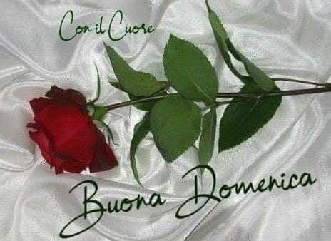 Pin di Marisa Cardinale su Domenica Buon mercoledì Buona domenica