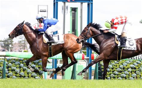 堀厩舎で研さん積んだ森一誠師が8戦目で初勝利「励みになる」／中山7r 競馬写真ニュース 日刊スポーツ