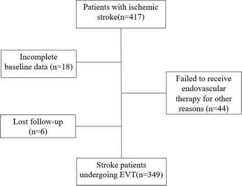 Flow Chart Of Included And Excluded Patients Download Scientific Diagram