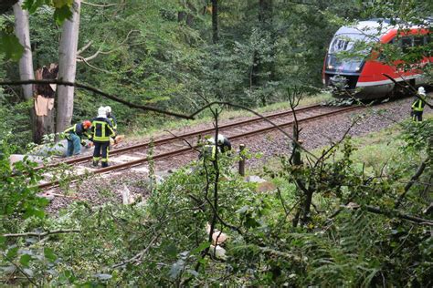 Bahnverkehr Stand Still Baum Auf Gleis Gefallen