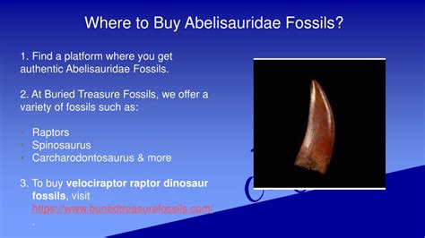 PPT - Know About Abelisauridae Fossils PowerPoint Presentation, free ...