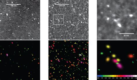 Colour On Line Defect Clusters Produced In Collision Cascades Of