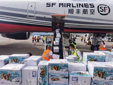 顺丰航空开通全国首条松茸运输全货机航线航空要闻资讯航空圈