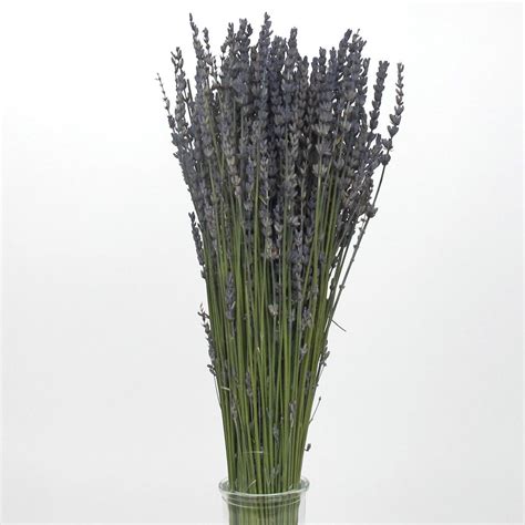 Dried Lavender for sale. UK delivery.