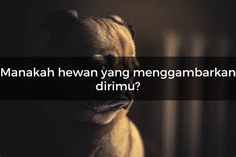 Quiz Seberapa Liar Dirimu Yuk Cari Tahu Lewat Kuis Ini