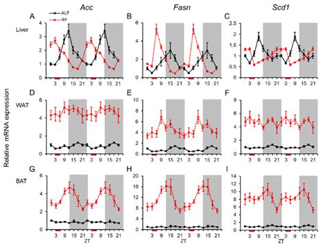 MRNA Expression Levels Of Lipogenic Genes In The Peripheral Tissues