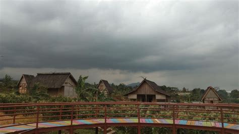 Kampung Budaya Padi Pandan Wangi Cianjur Jawa Barat Pandan Scenery