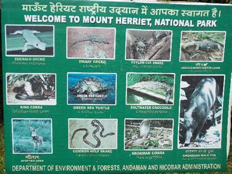 Mount Harriet National Park Andaman And Nicobar Islands 2018 All