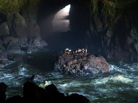 Sea Caves Other Atlas