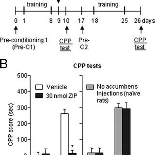 Inhibition Of PKM Activity By ZIP Injections Into Nucleus Accumbens