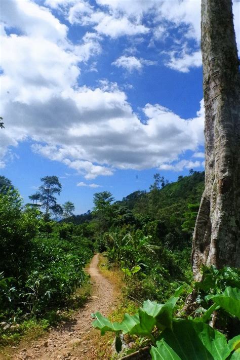 Mencoba Trekking Menemukan Pesona Air Terjun Sinar Tiga Pesawaran