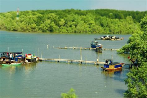 Can Gio Mangrove Forest Monkey Island Day Tour Countryside Saigon