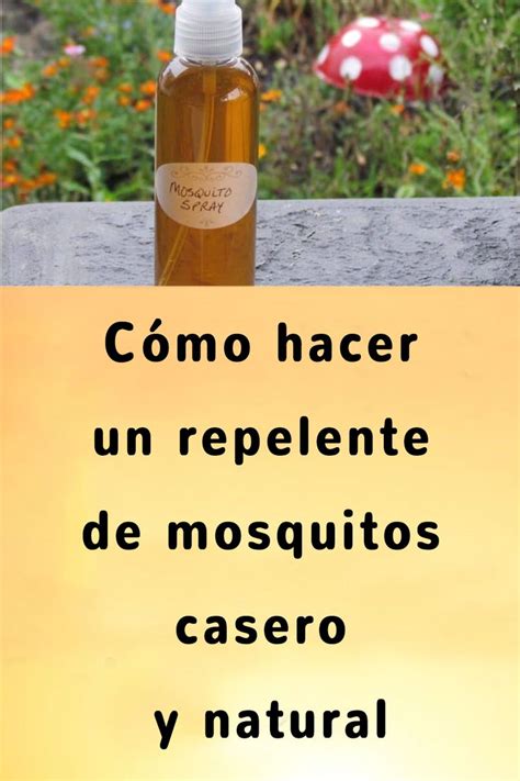 C Mo Hacer Un Repelente De Mosquitos Casero Y Natural Repelente De