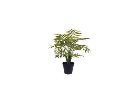 Now S Home Phoenix Artificiel Ht 46 Cm Esprit Vegetal