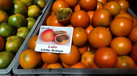 Exotic Fruits Of Colombia Nick Doiron Medium