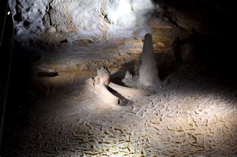 Inauguration De La Caverne Du Pont D Arc Visite En Images