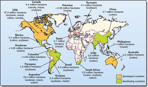 History Of Genetically Modified Corn