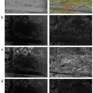 Examples Of Background Model Maps A Mean Value B Pixel Standard