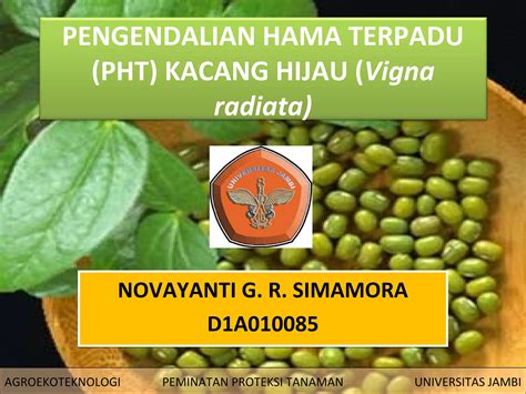 Pengendalian Hama Terpadu Pht Kacang Hijau Vigna Radiata Ppt