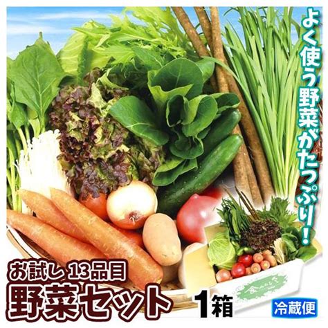 野菜セット お試し 国産 13種 1箱 送料無料 葉物 根菜 野菜詰め合わせ 自宅へお届け 冷蔵便 国華園 F84032食みらい・国華園