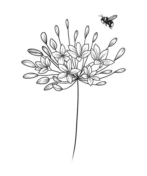 Premium Vector Bee Approaches The Flowers Black And White Vector Line Art