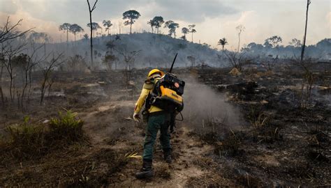 Los Incendios En La Amazonia Derriten Los Glaciares Andinos Raisg