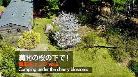 裏庭キャンプ満開の桜の下春を楽しむドローンタイムラプス映像もLove Spring under the CHERRY