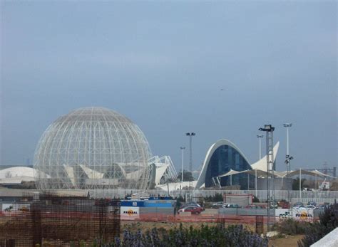 Oceanográfico The aquarium and its surroundings Vagabond au chapeau