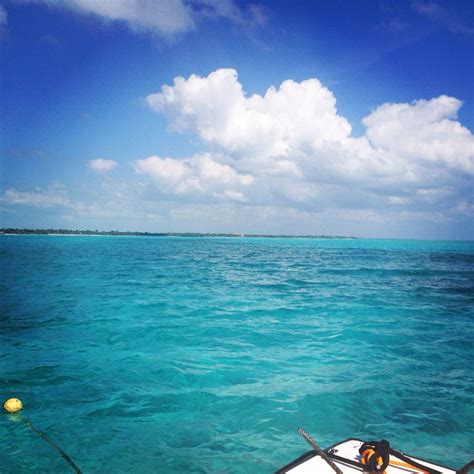 Fishing and Snorkeling in Ambergris Caye, Belize | Belize, Ambergris caye, Snorkeling