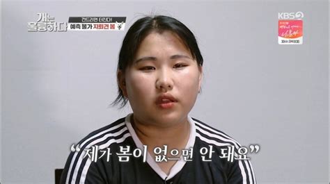 개는훌륭 강형욱 감동시킨 보호자는 훌륭하다 Tv와치 네이트 연예