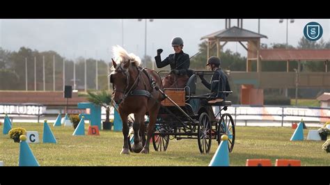 Lamotte Beuvron Attelage L Aftermovie Youtube