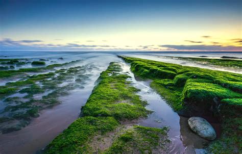 Wallpaper Sea The Sky Clouds Algae Stones Rocks Tide For Mobile