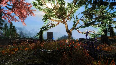 Whiterun Park At Skyrim Special Edition Nexus Mods And Community