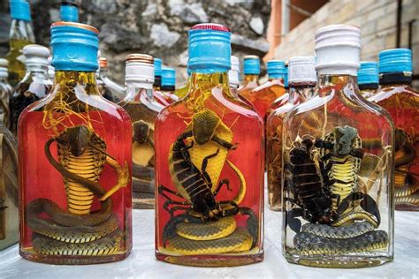 Japan Snake Alcohol