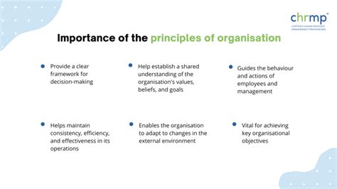 16 Key Principles Of Organisation Comprehensive Guide 2025