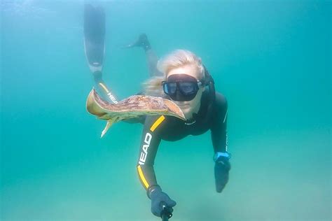 7 Great Spots For Snorkeling In San Diego • Scuba Diver Girls