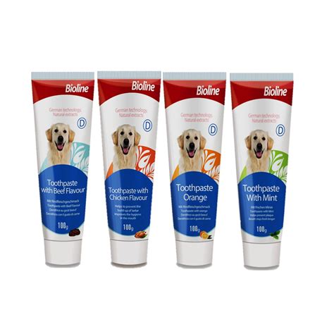 Can Dogs Use Regular Toothpaste