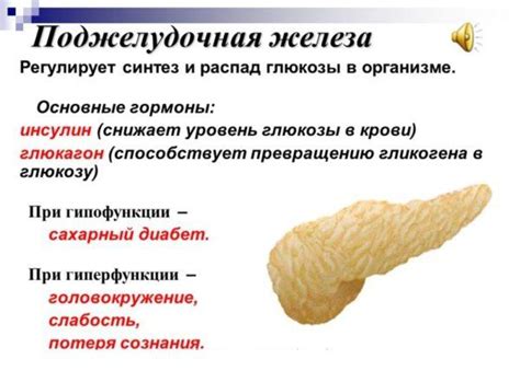 Гормоны поджелудочной железы и их функции, возможные проблемы ...