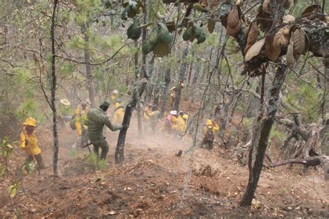 Extinguen En Su Totalida El Incendio Forestal En La Reserva De La