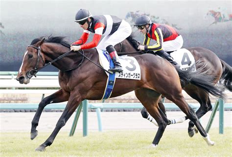 【中山6r・3歳新馬】半姉が阪神jf馬の良血スティンガーグラスがデビューv ルメール騎手「まだ伸びしろがある」 Umatoku 馬トク