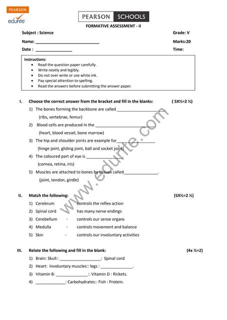 Class 5 Cbse Science Question Paper Fa 2 Pdf