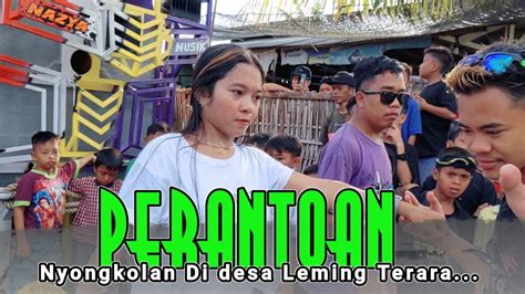 Lagu Sasak Terbaru Perantoan Reggae Vrrsi Kecimol Nazya Musik